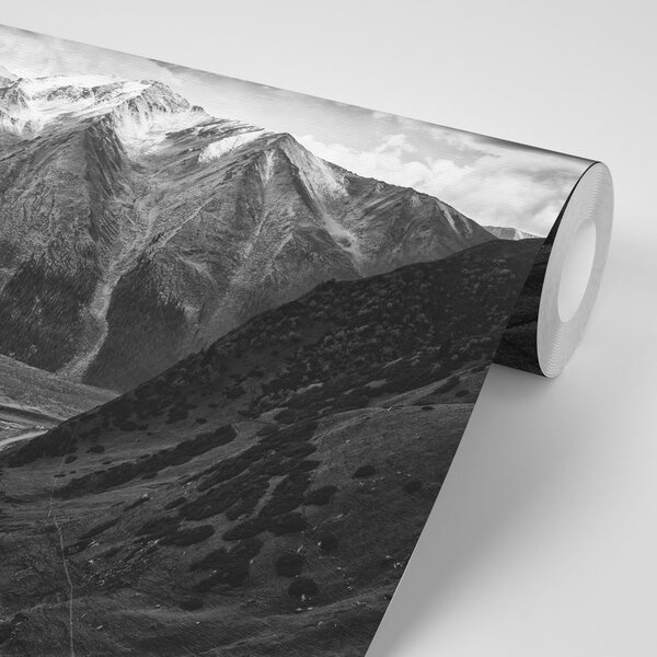 Fototapeta panorama gór w czerni i bieli
