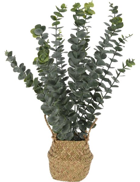 Sztuczna roślina eukaliptus w koszyku, 50 cm