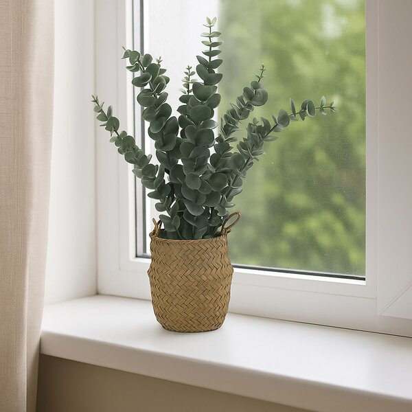 Sztuczna roślina eukaliptus w koszyku, 50 cm