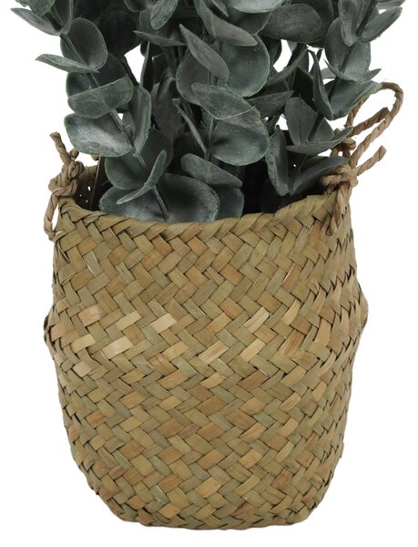 Sztuczna roślina eukaliptus w koszyku, 50 cm