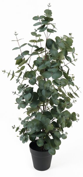 Sztuczny eukaliptus w doniczce EDEN, 78 cm