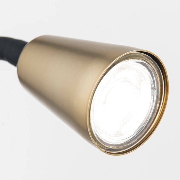 ORION Lampka z klipsem Dotty, mosiężny / złoty, salon / jadalnia, metal, nowoczesny