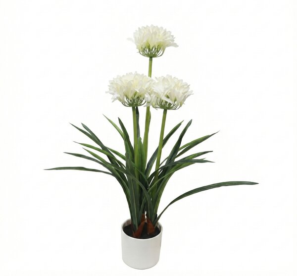 Sztuczny kwiat w doniczce Agapant, 50 x 80 cm