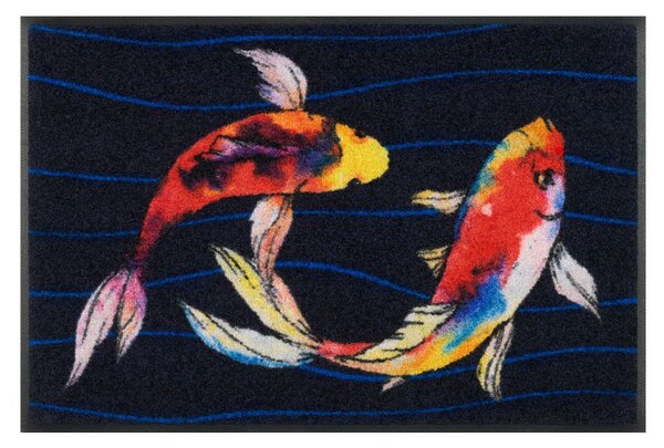 Wycieraczka domowa Hola 50 x 75 cm