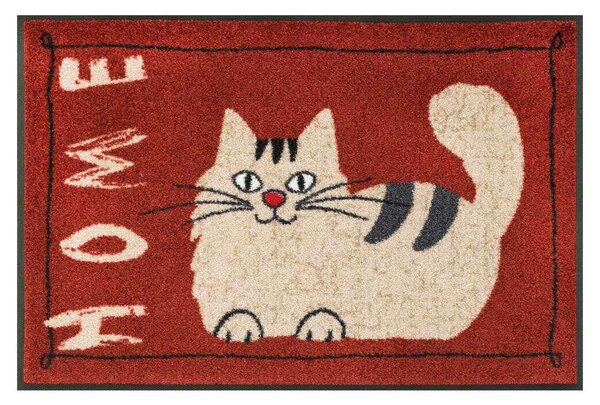 Wycieraczka Kitty Home 50 x 75 cm