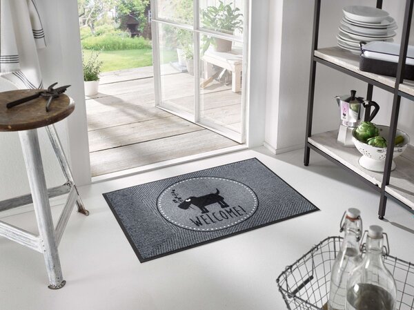 Wycieraczka Welcome Home Doggy! 50 x 75 cm