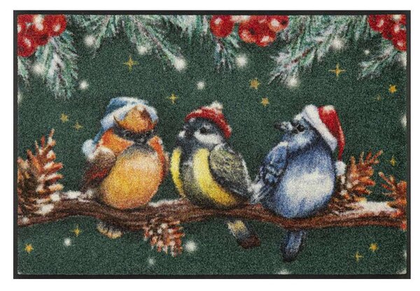 Wycieraczka Winter Birds 50 x 75