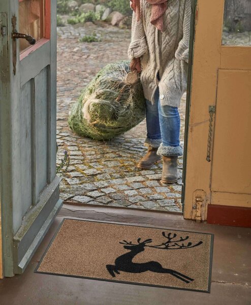 Wycieraczka Reindeer 50 x 75