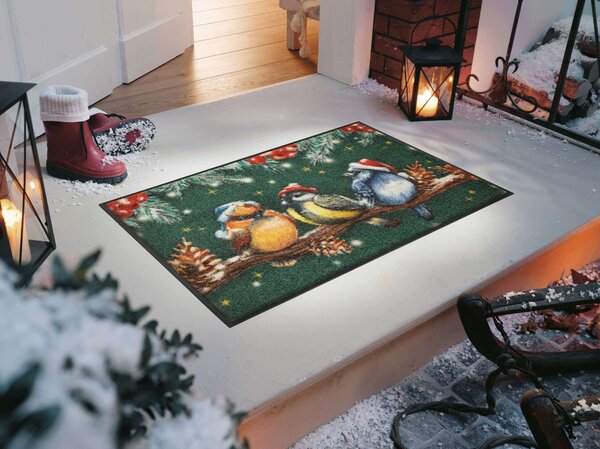 Wycieraczka Winter Birds 50 x 75