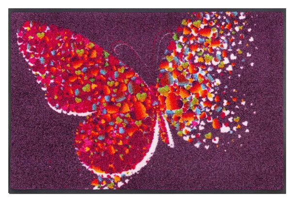Wycieraczka Magic Butterfly 50 x 75 cm