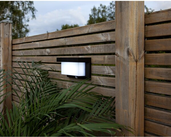 Kinkiet solarny LED Star Trading Valla, 20x12 cm