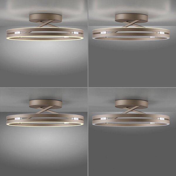 PURE Lampa sufitowa LED Loop, możliwość ściemniania, brązowy / mosiężny, salon / jadalnia, aluminium, nowoczesny