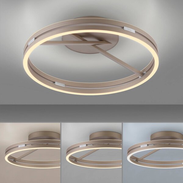 PURE Lampa sufitowa LED Loop, możliwość ściemniania, brązowy / mosiężny, salon / jadalnia, aluminium, nowoczesny