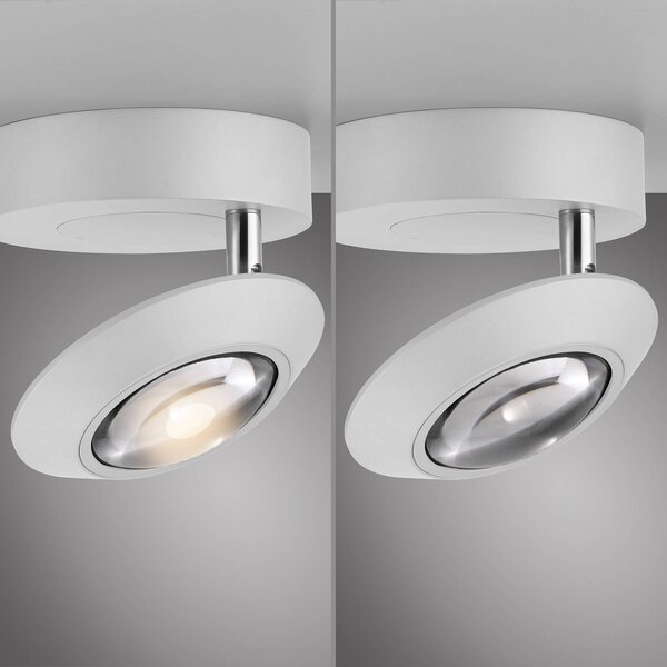 PURE Lampa sufitowa LED Oculis, możliwość ściemniania, biały / opal, salon / jadalnia, nowoczesny