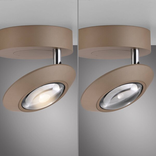 PURE Lampa sufitowa LED Oculis, możliwość ściemniania, brązowy / mosiężny, salon / jadalnia, nowoczesny