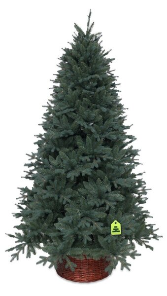 Sztuczna choinka wysokość 150 cm Silver Spruce – Můj Stromeček