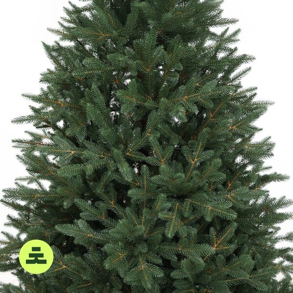 Sztuczna choinka wysokość 150 cm Canadian Spruce 3D – Můj Stromeček
