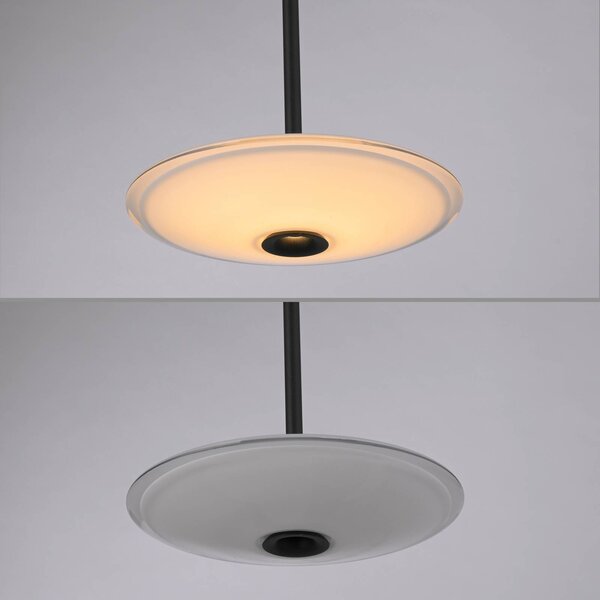 Paul Neuhaus Lampa wisząca Elipsa, możliwość ściemniania, czarny, salon / jadalnia, szkło