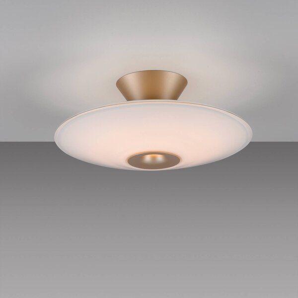 Paul Neuhaus Lampa sufitowa LED Elipsa, możliwość ściemniania, biały / opal, salon / jadalnia, szkło