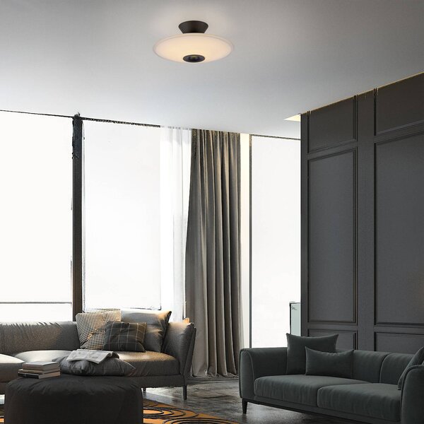 Paul Neuhaus Lampa sufitowa LED Elipsa, możliwość ściemniania, biały / opal, salon / jadalnia, szkło