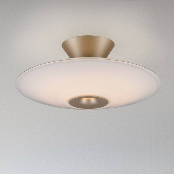 Paul Neuhaus Lampa sufitowa LED Elipsa, możliwość ściemniania, biały / opal, salon / jadalnia, szkło