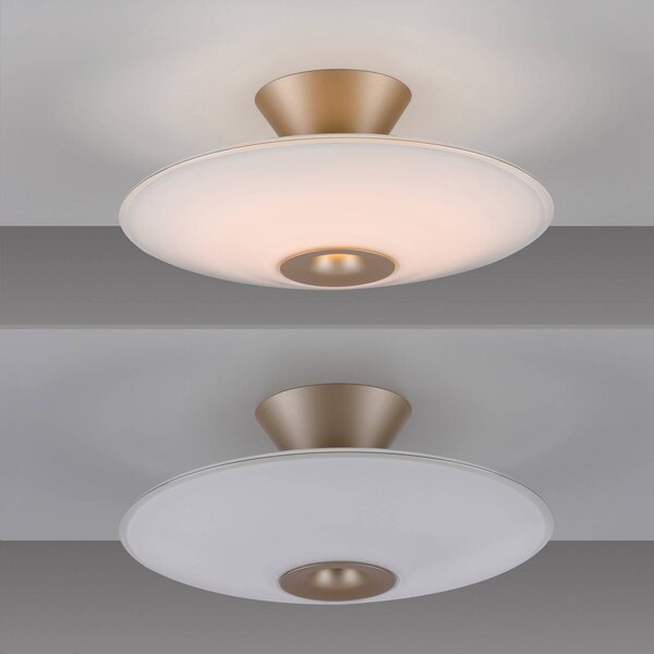 Paul Neuhaus Lampa sufitowa LED Elipsa, możliwość ściemniania, biały / opal, salon / jadalnia, szkło