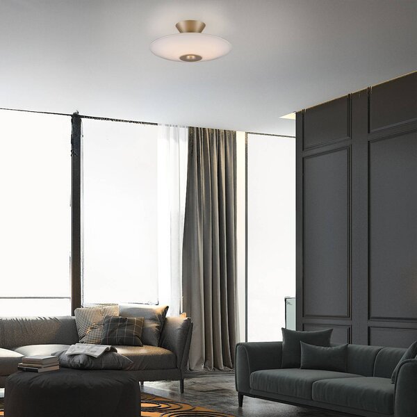 Paul Neuhaus Lampa sufitowa LED Elipsa, możliwość ściemniania, biały / opal, salon / jadalnia, szkło