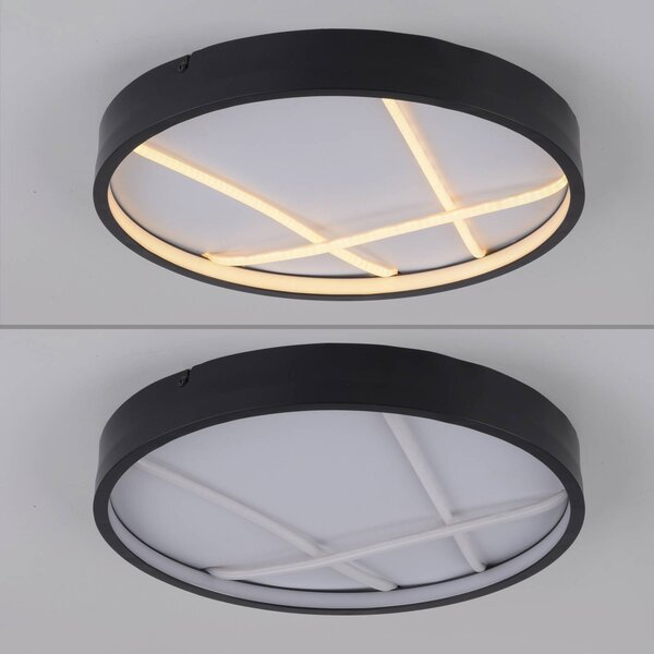 JUST LIGHT. GmbH Lampa sufitowa LED Mikado, możliwość ściemniania, czarny, salon / jadalnia, metal, nowoczesny
