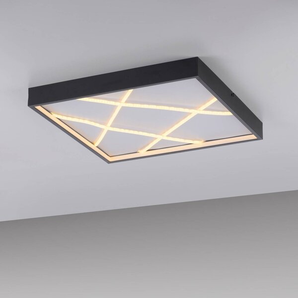JUST LIGHT. GmbH Lampa sufitowa LED Mikado, możliwość ściemniania, czarny, salon / jadalnia, metal, nowoczesny