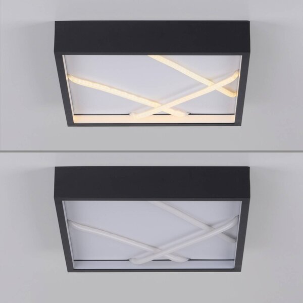 JUST LIGHT. GmbH Lampa sufitowa LED Mikado, możliwość ściemniania, czarny, salon / jadalnia, metal, nowoczesny