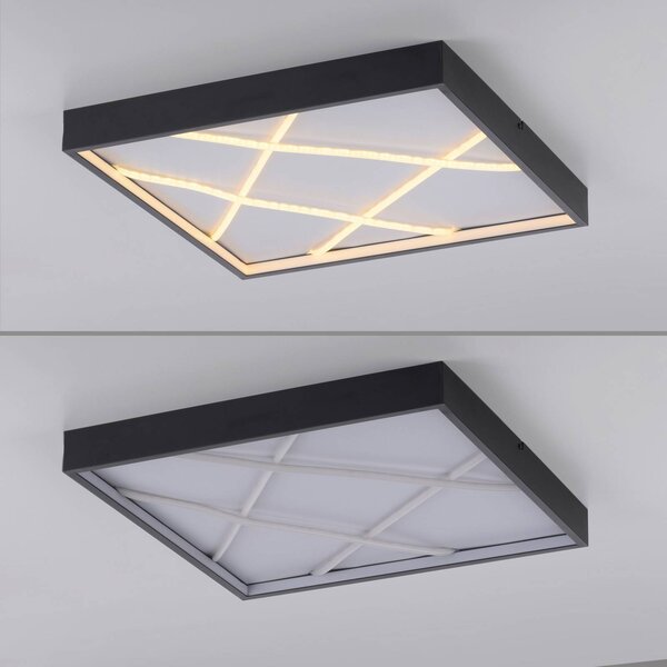 JUST LIGHT. GmbH Lampa sufitowa LED Mikado, możliwość ściemniania, czarny, salon / jadalnia, metal, nowoczesny