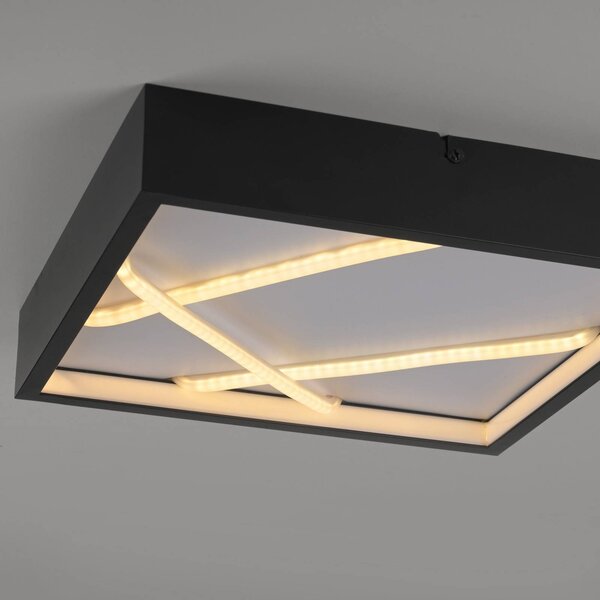 JUST LIGHT. GmbH Lampa sufitowa LED Mikado, możliwość ściemniania, czarny, salon / jadalnia, metal, nowoczesny