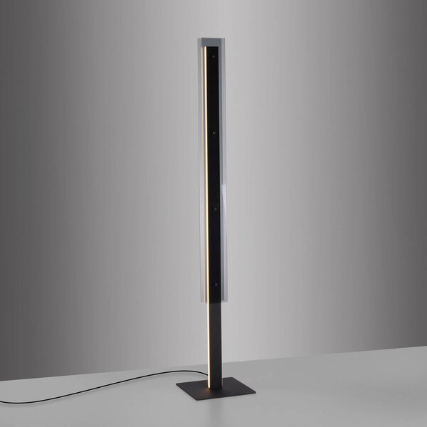 Schöner Wohnen Lampa stojąca LED Lena, możliwość ściemniania, czarny, salon / jadalnia, metal, nowoczesny