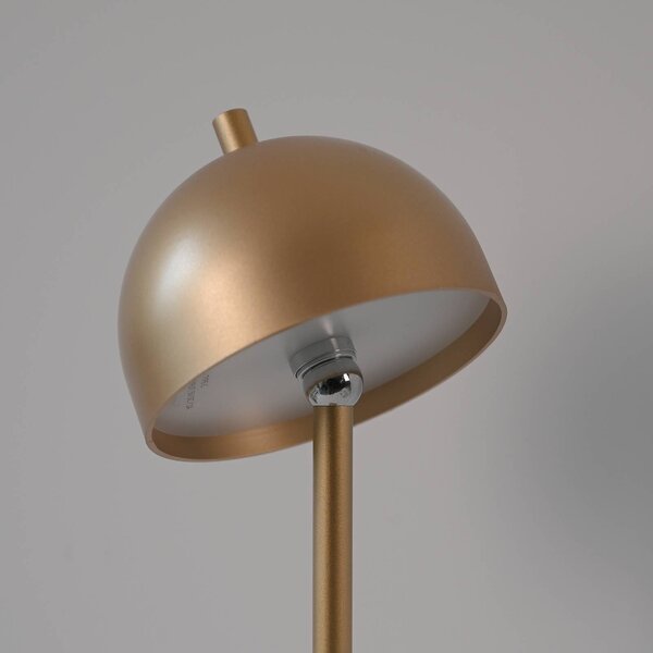 Schöner Wohnen lampa stołowa LED z akumulatorem Bellies, złota, IP54 możliwość ściemniania, mosiężny / złoty, salon / jadalnia, metal, skandynawski
