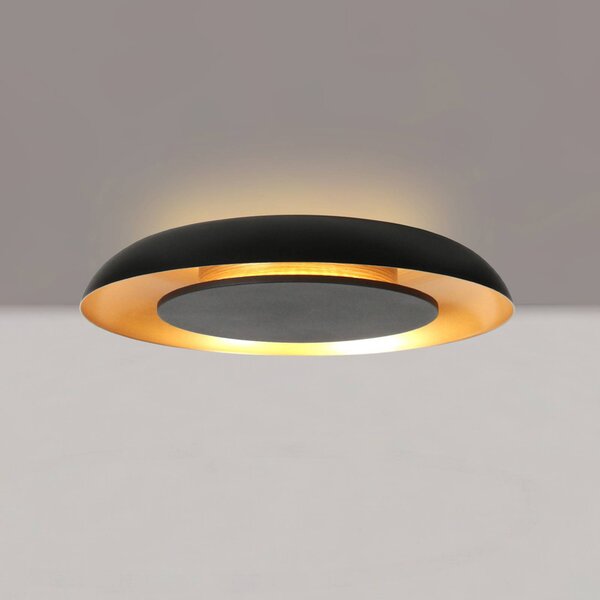 Steinhauer Lampa sufitowa LED Golden Veil, możliwość ściemniania, czarny, salon / jadalnia, metal, nowoczesny