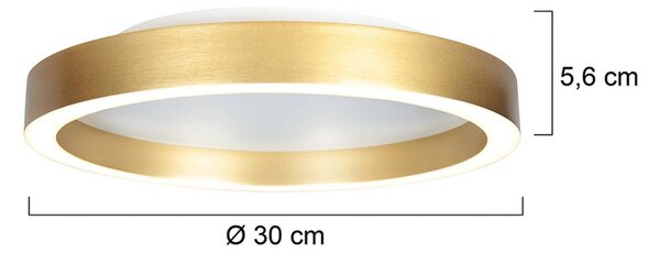Steinhauer Lampa sufitowa LED Ringlux, możliwość ściemniania, mosiężny / złoty, salon / jadalnia, metal, nowoczesny