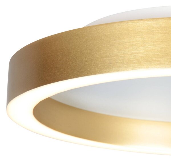 Steinhauer Lampa sufitowa LED Ringlux, możliwość ściemniania, mosiężny / złoty, salon / jadalnia, metal, nowoczesny