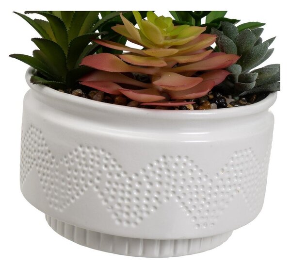 Sztuczne rośliny zestaw 2 szt. (wysokość 19 cm) Cactus – Casa Selección
