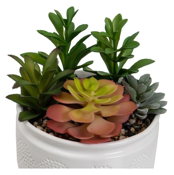 Sztuczne rośliny zestaw 2 szt. (wysokość 19 cm) Cactus – Casa Selección