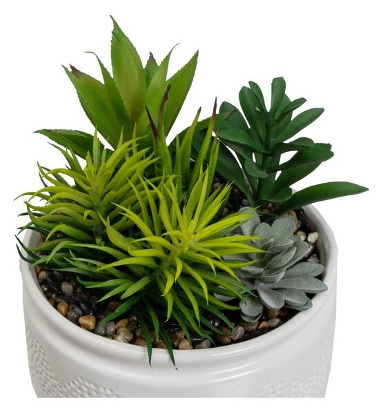 Sztuczne rośliny zestaw 2 szt. (wysokość 19 cm) Cactus – Casa Selección
