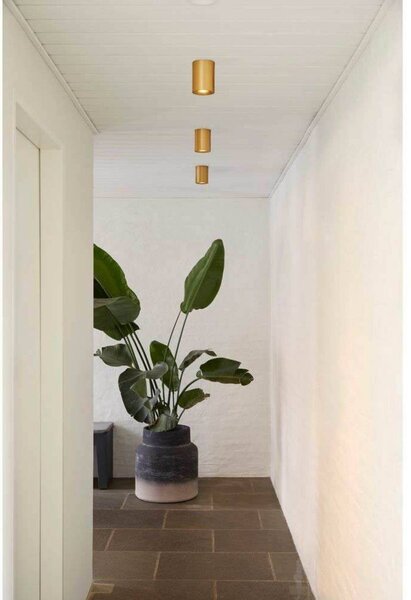 LOOM DESIGN lampa sufitowa LED Nyx, mosiądz, IP54 możliwość ściemniania, mosiężny / złoty, łazienka, aluminium, nowoczesny