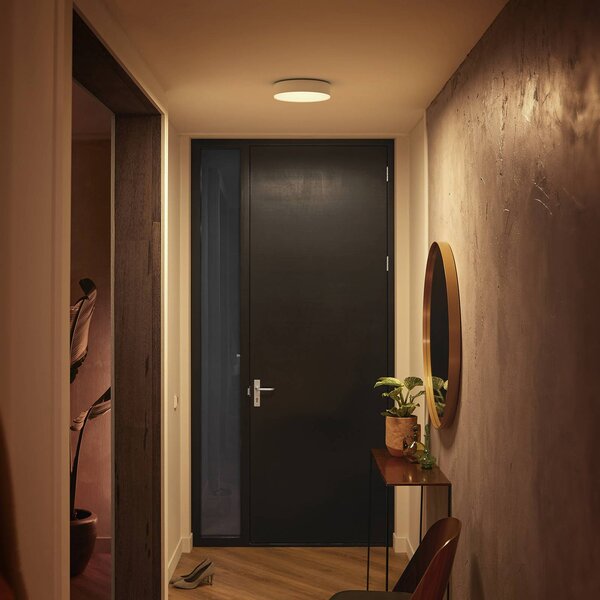 Philips Hue Inteligentna lampa sufitowa Hue, możliwość ściemniania, biały / opal, salon / jadalnia, metal, nowoczesny