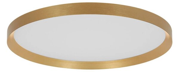Steinhauer Lampa sufitowa LED Flady, możliwość ściemniania, mosiężny / złoty, salon / jadalnia, metal