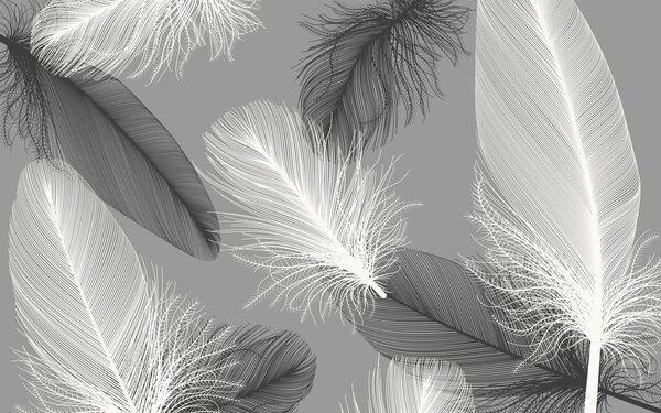 Fototapeta Delikatne pióra w miękkim monochromatycznym kolorze, Fototapety 3d, Popularne Fototapety, u04919 - Tapeko.pl