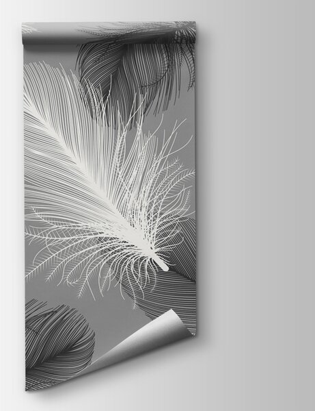 Fototapeta Delikatne pióra w miękkim monochromatycznym kolorze, Fototapety 3d, Popularne Fototapety, u04919 - Tapeko.pl