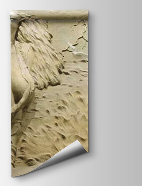 Fototapeta Rzeźba kobiety, Fototapety 3d, Popularne Fototapety, u08057 - Tapeko.pl