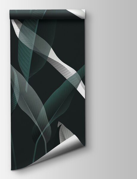 Fototapeta Eleganckie liście na ciemnym tle, Fototapety Kwiaty, Popularne Fototapety, u10347 - Tapeko.pl
