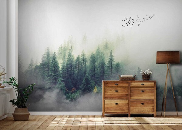 Fototapeta Ptaki latające nad lasem, Fototapety Natura, Popularne Fototapety, u10882 - Tapeko.pl