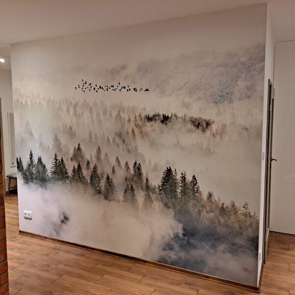 Fototapeta Ptaki latające nad lasem, Fototapety Natura, Popularne Fototapety, u13823 - Tapeko.pl