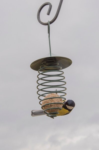 Ciemnozielony metalowy karmnik z daszkiem Esschert Design, ⌀ 10,8 cm
